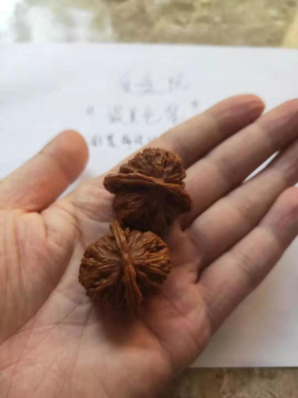 %title插图%num %title插图%num