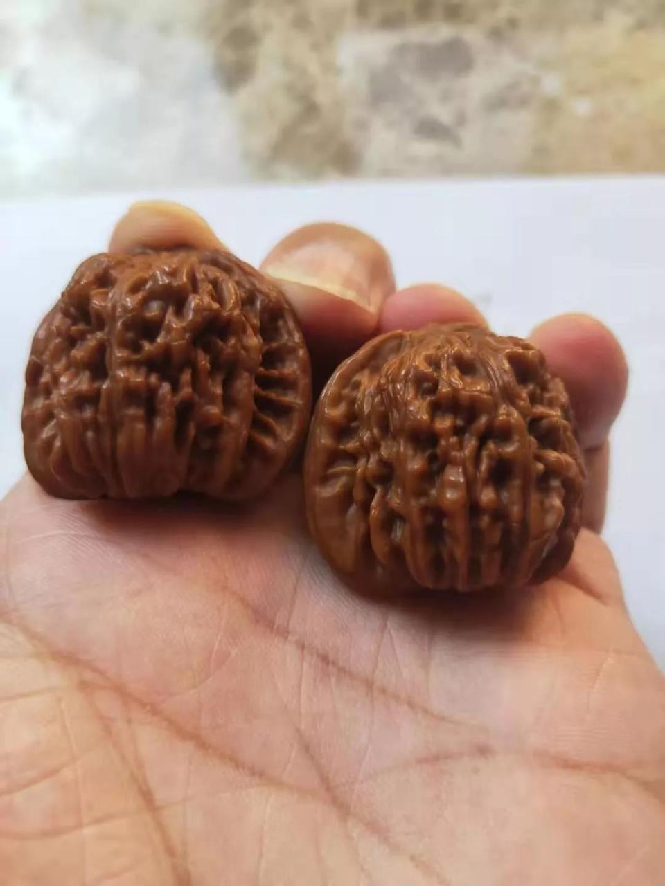 %title插图%num %title插图%num