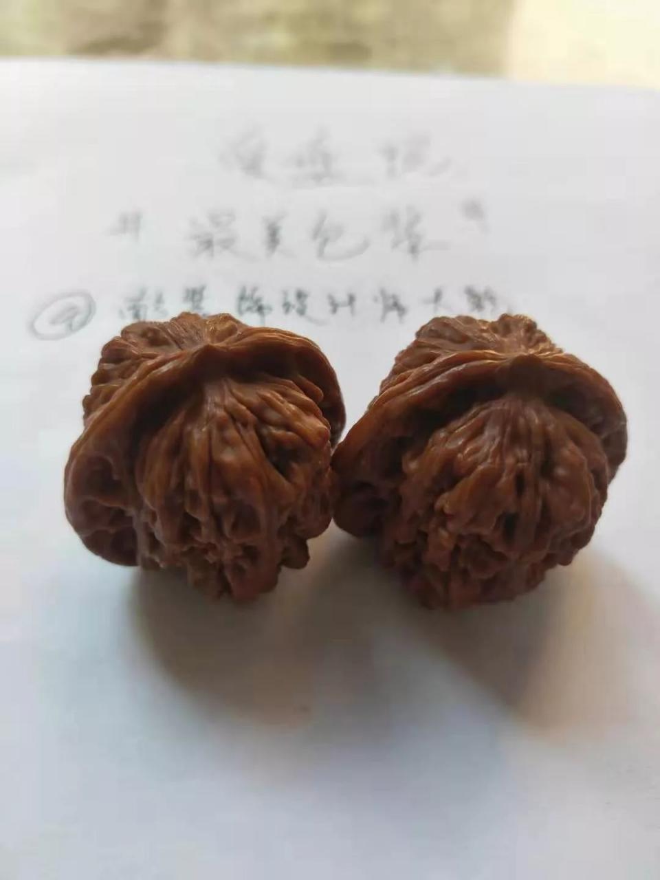 %title插图%num %title插图%num