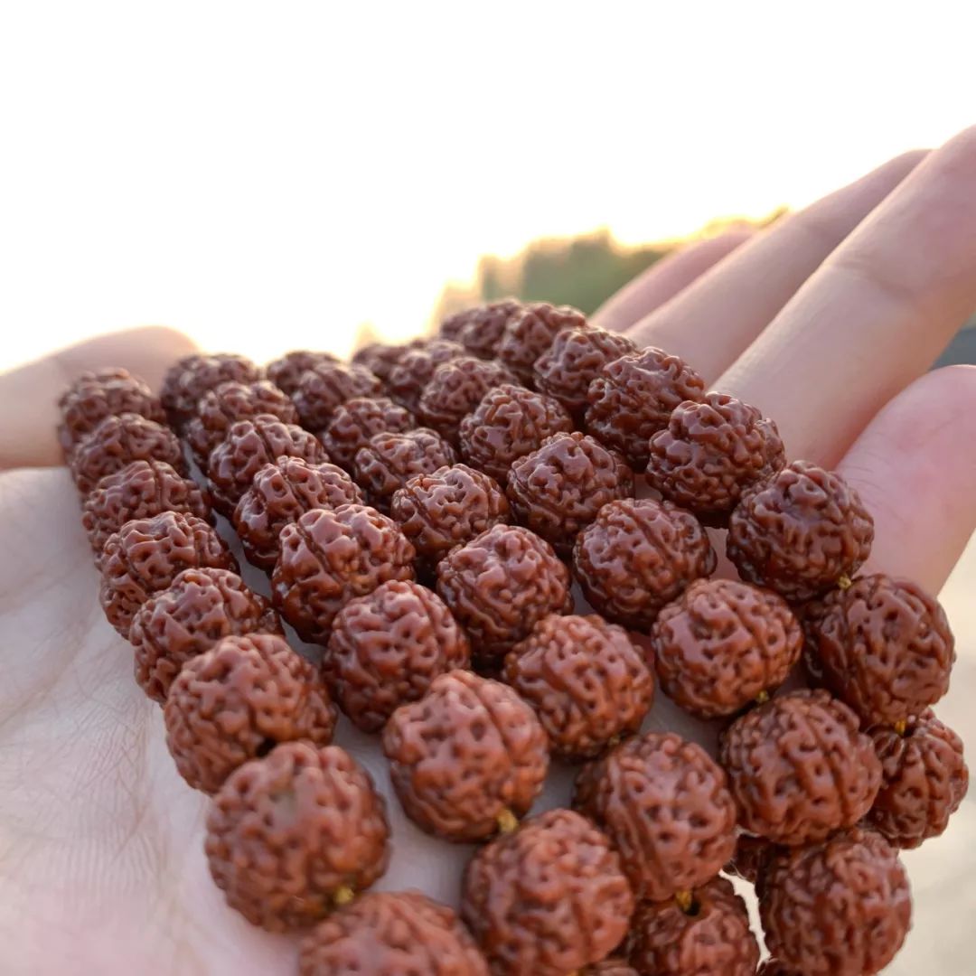 %title插图%num %title插图%num