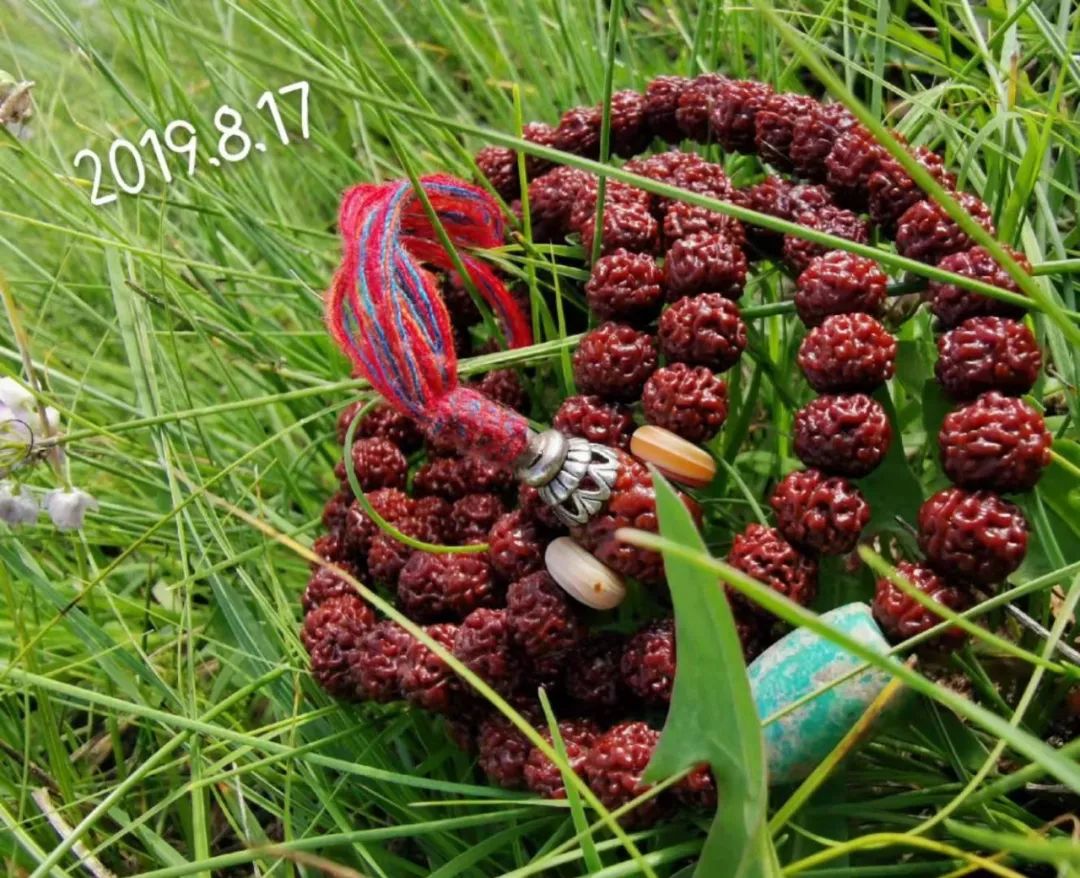 %title插图%num %title插图%num