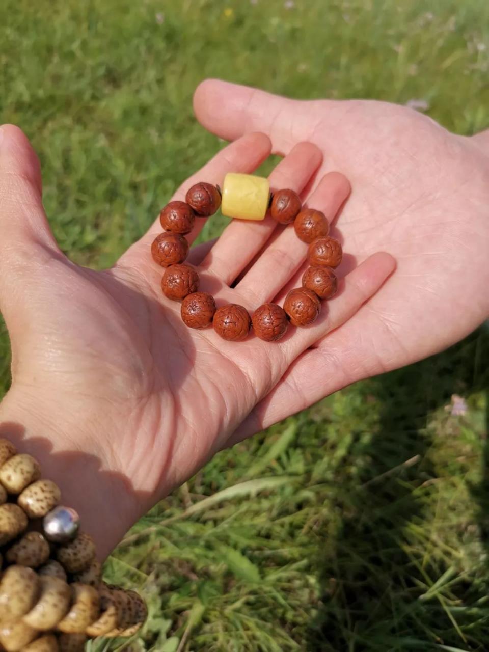 %title插图%num %title插图%num