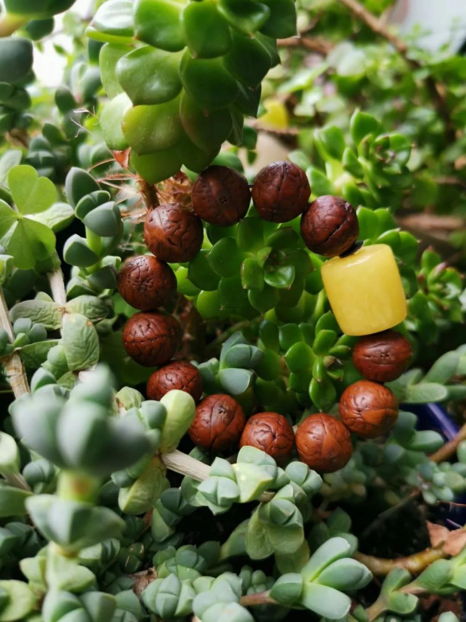 %title插图%num %title插图%num