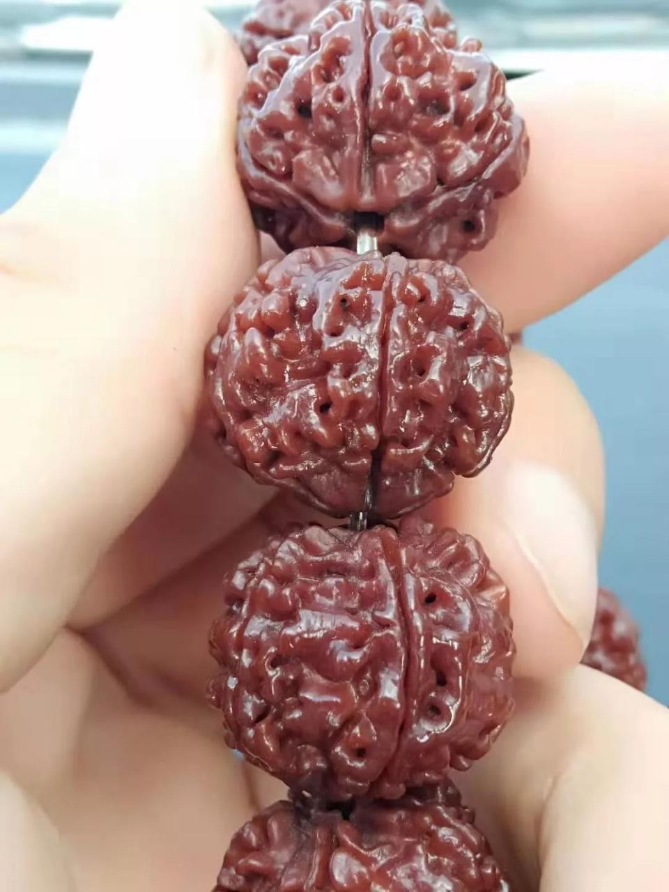 %title插图%num %title插图%num