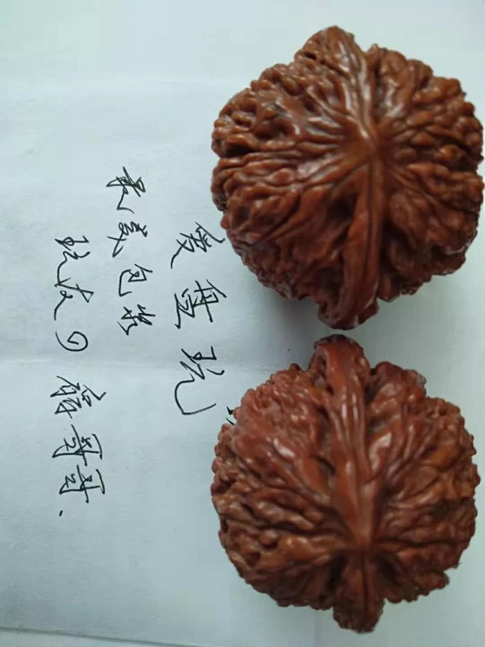 %title插图%num %title插图%num