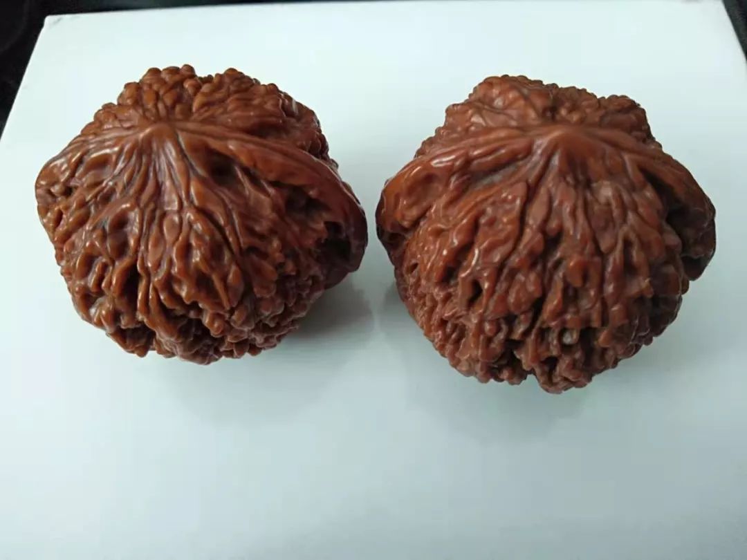 %title插图%num %title插图%num