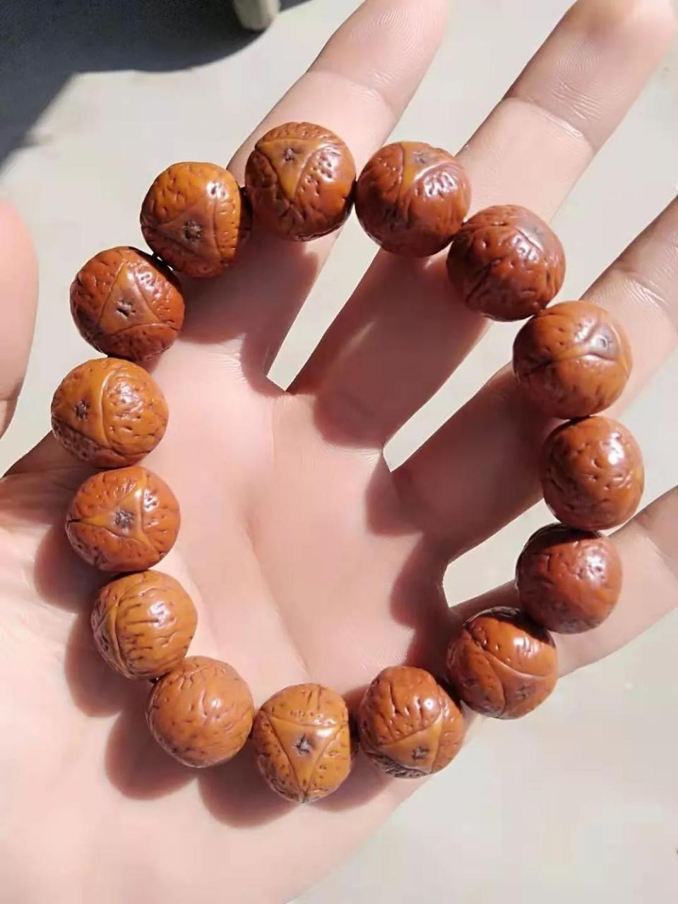 %title插图%num %title插图%num