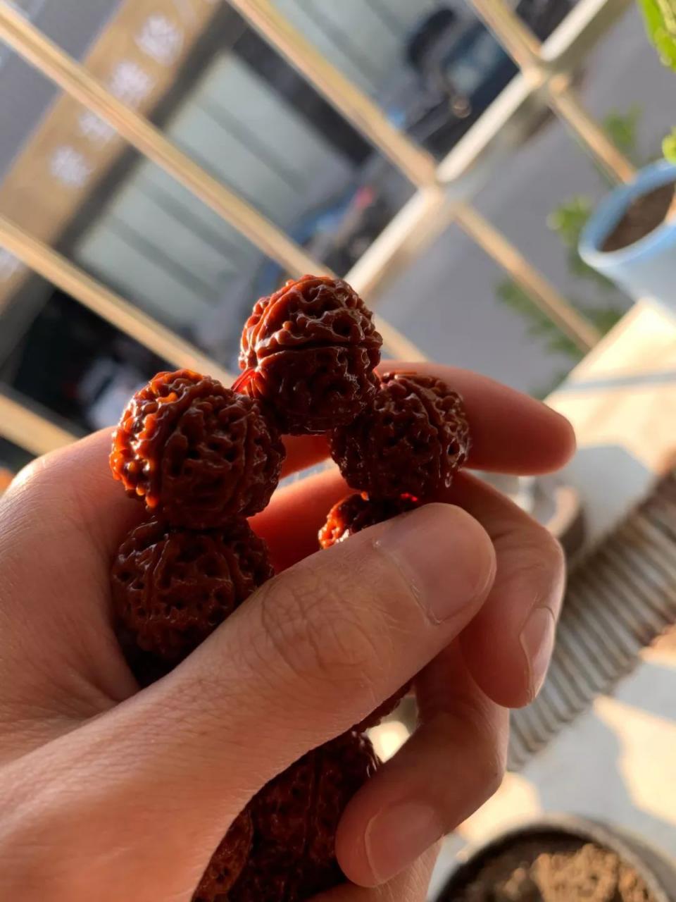 %title插图%num %title插图%num