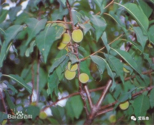 %title插图%num %title插图%num