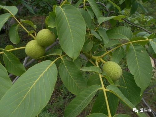 %title插图%num %title插图%num