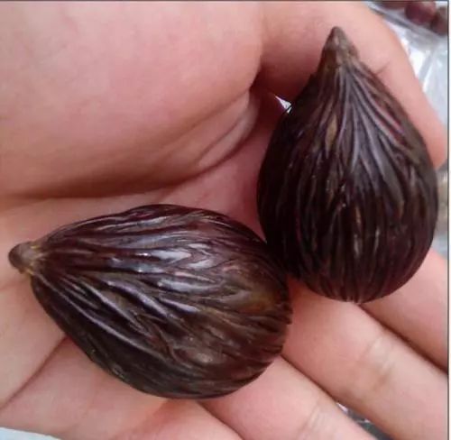 %title插图%num %title插图%num