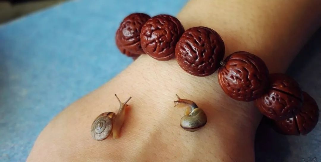 %title插图%num %title插图%num