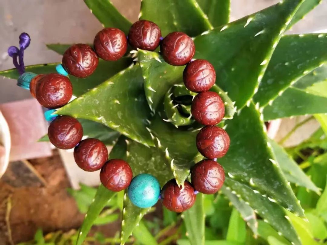 %title插图%num %title插图%num