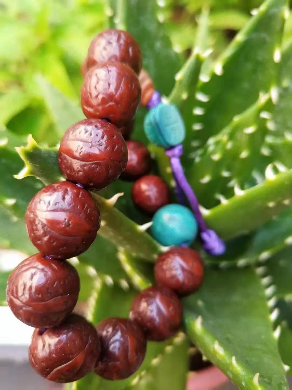 %title插图%num %title插图%num