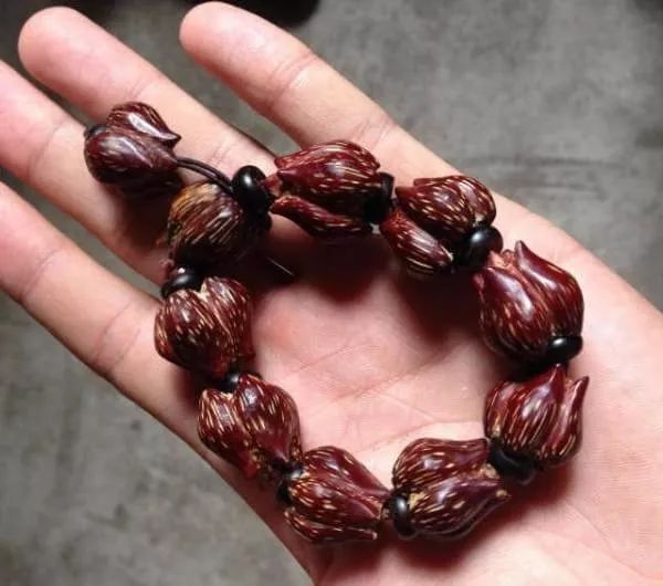 %title插图%num %title插图%num