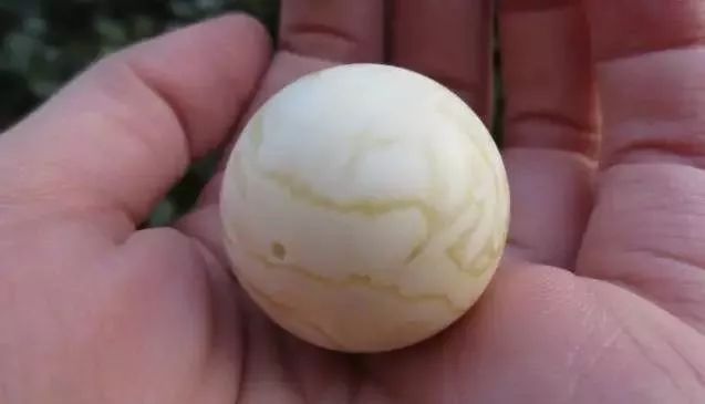 %title插图%num %title插图%num