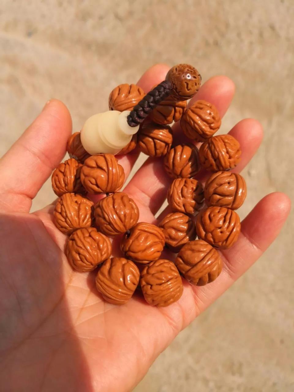 %title插图%num %title插图%num