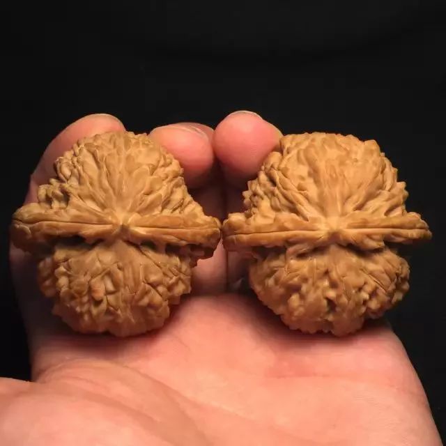 undefined %title插图%num