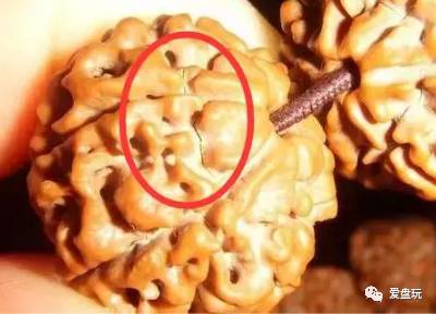 %title插图%num %title插图%num