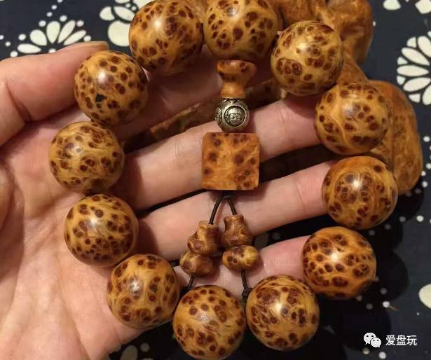 %title插图%num %title插图%num