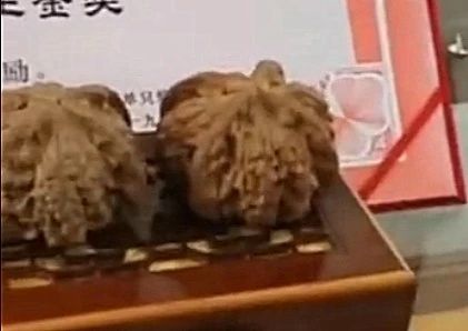 %title插图%num %title插图%num