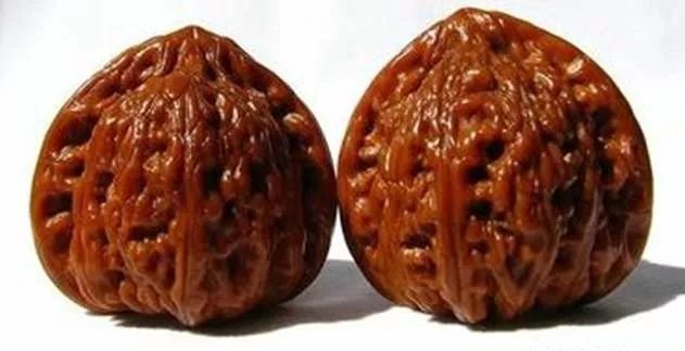 %title插图%num %title插图%num