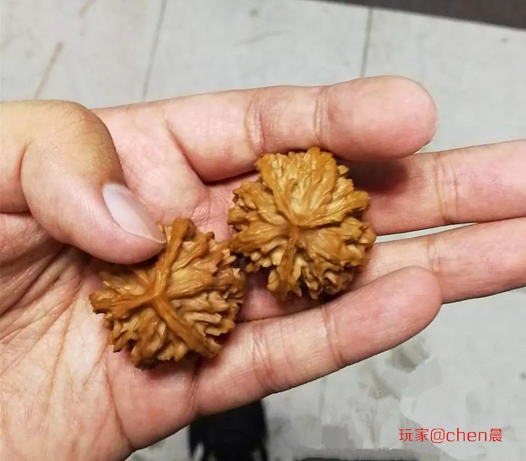 %title插图%num %title插图%num