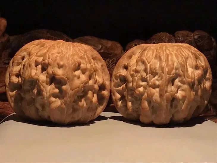 %title插图%num %title插图%num