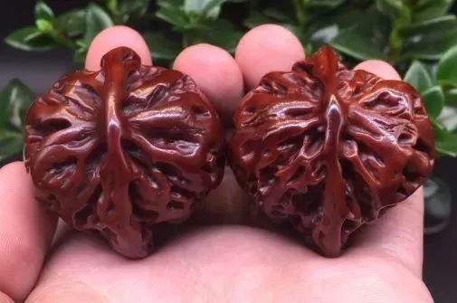 %title插图%num %title插图%num