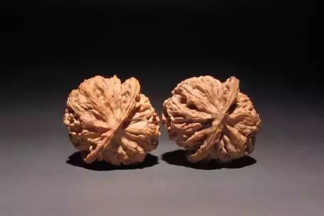 %title插图%num %title插图%num