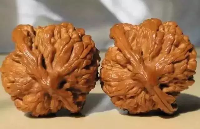 %title插图%num %title插图%num