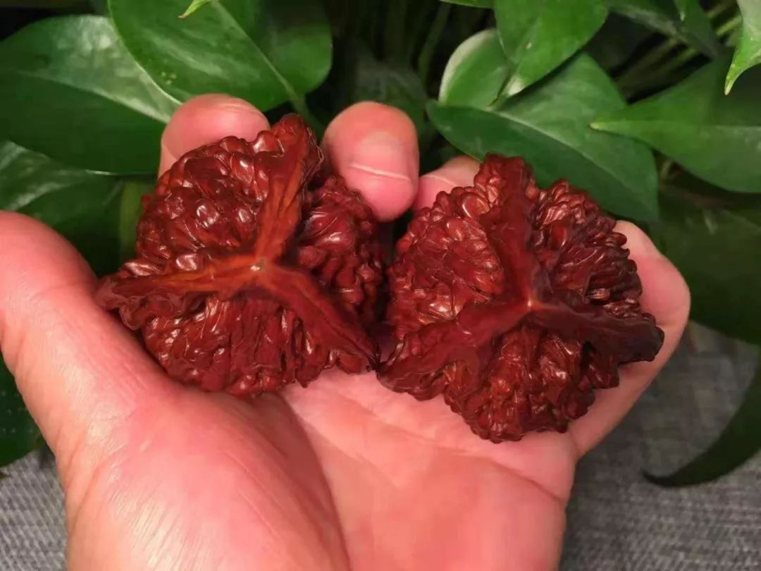 %title插图%num %title插图%num