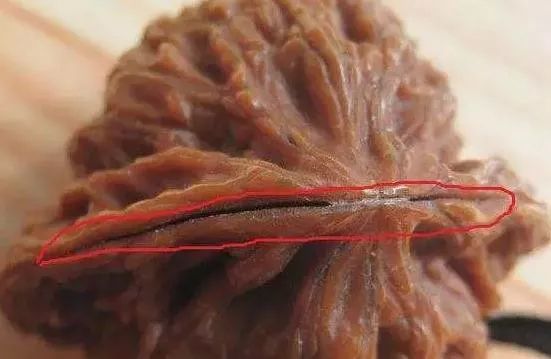 %title插图%num %title插图%num