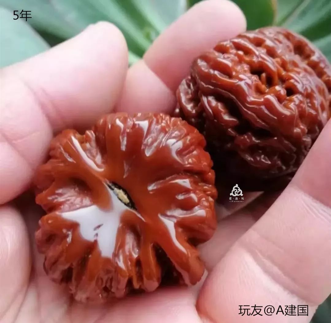 %title插图%num %title插图%num