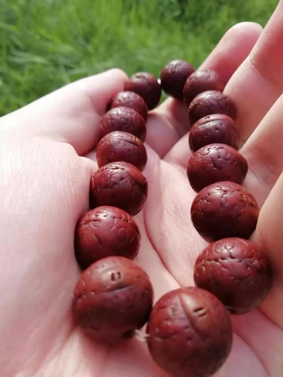 %title插图%num %title插图%num