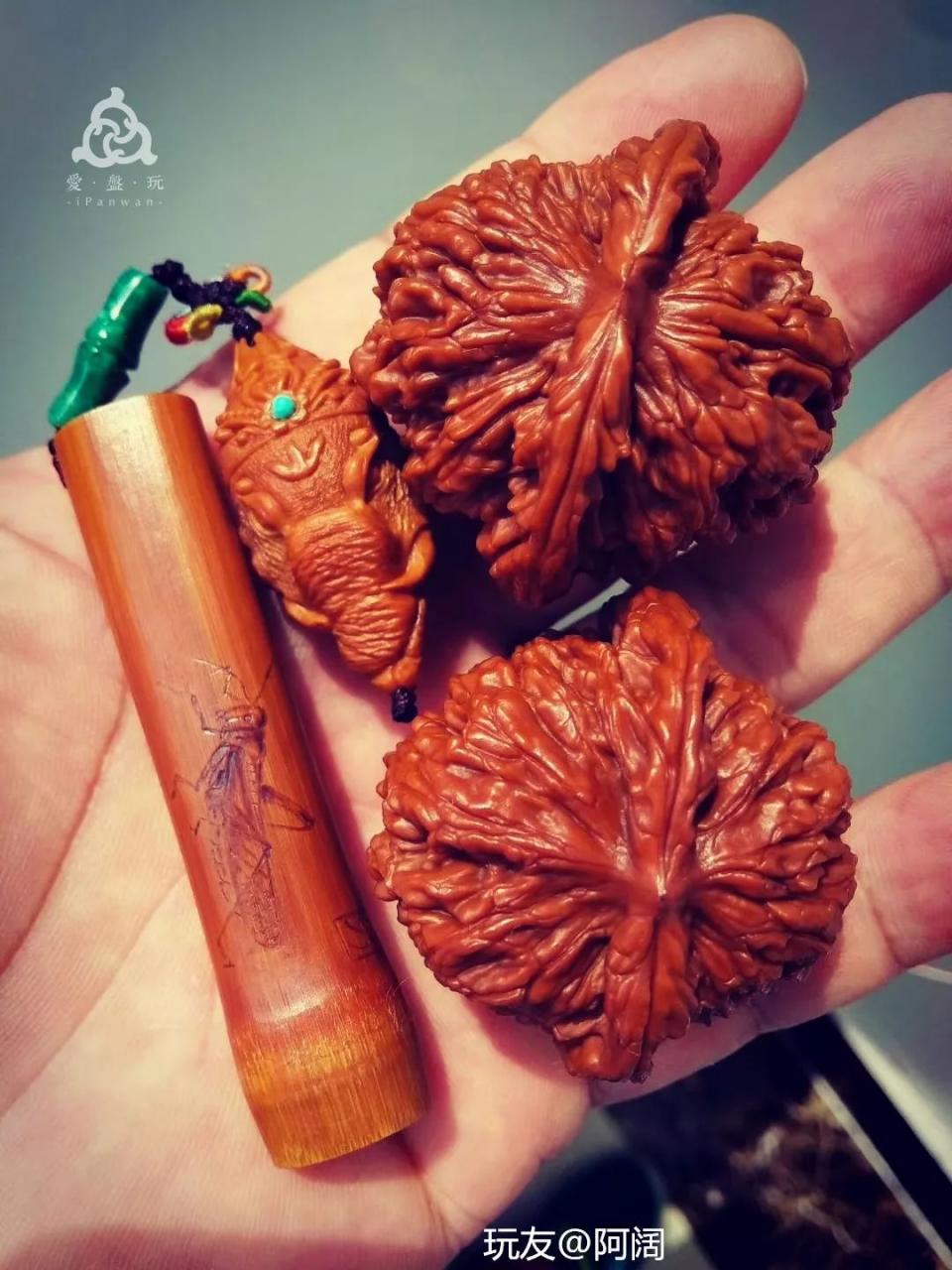 %title插图%num %title插图%num