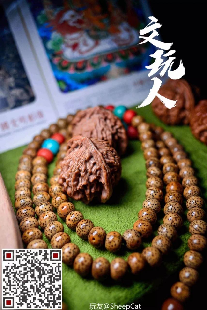 %title插图%num %title插图%num