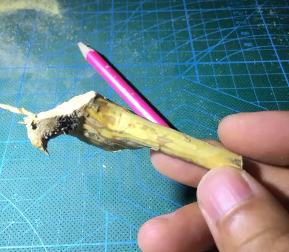 %title插图%num %title插图%num