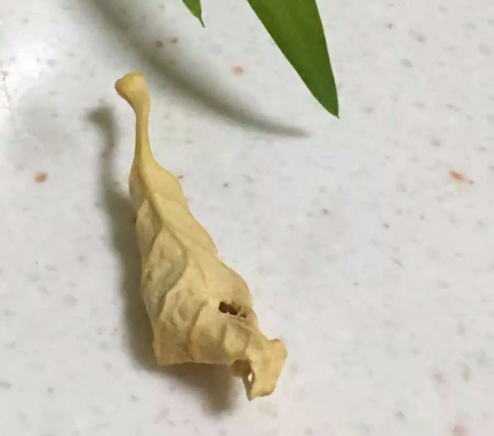 %title插图%num %title插图%num