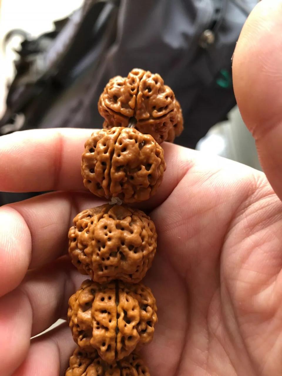 %title插图%num %title插图%num