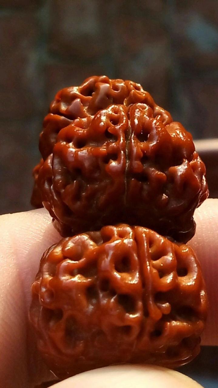 %title插图%num %title插图%num