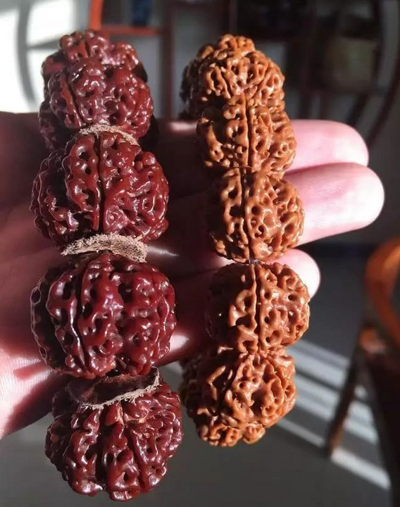 %title插图%num %title插图%num