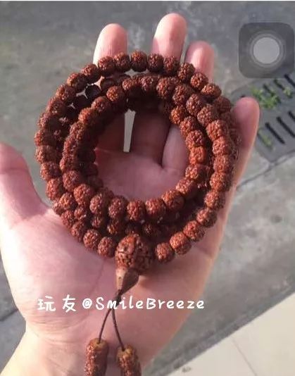 %title插图%num %title插图%num