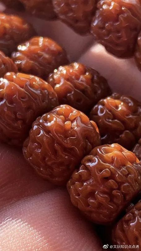 %title插图%num %title插图%num