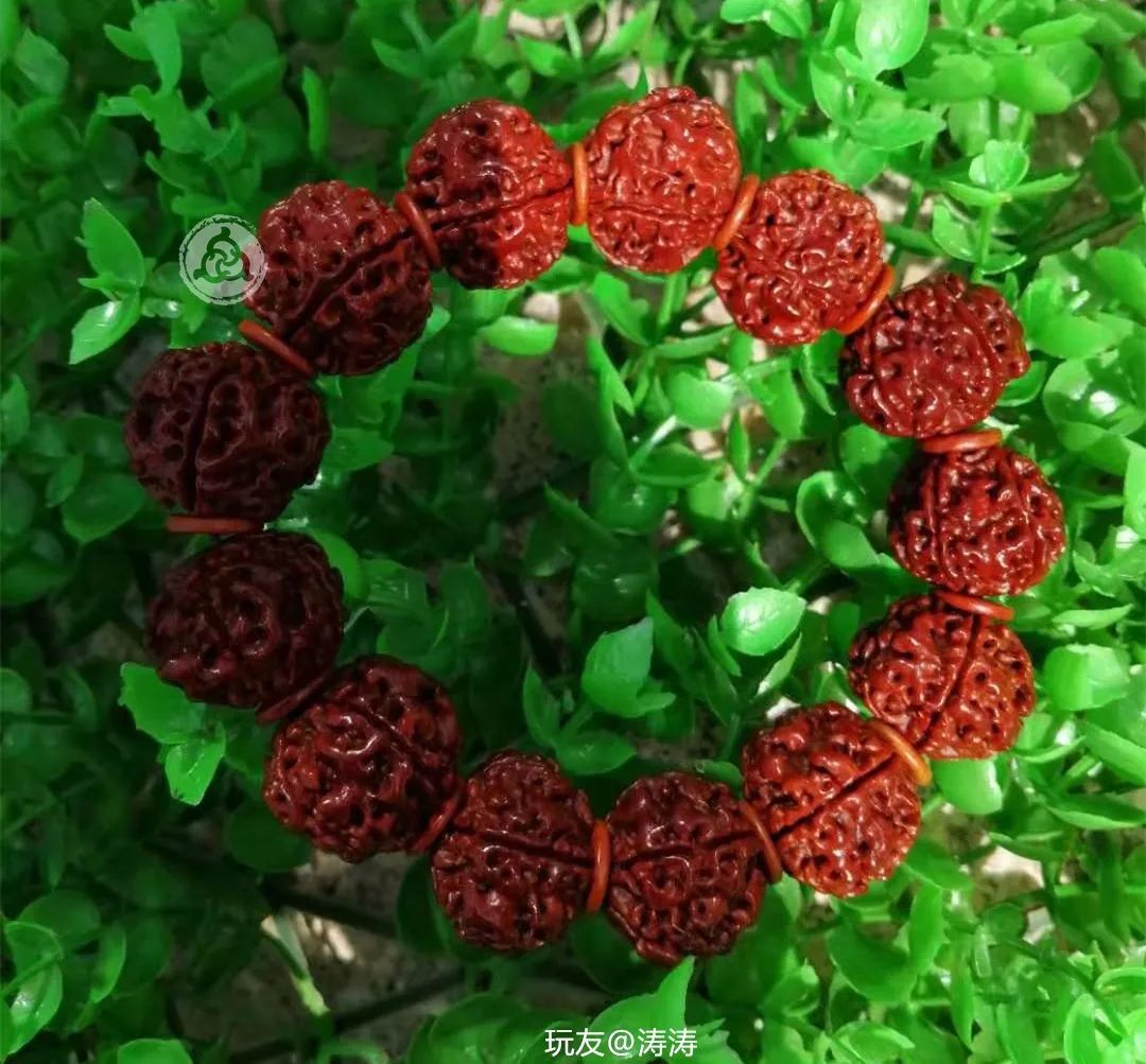 %title插图%num %title插图%num