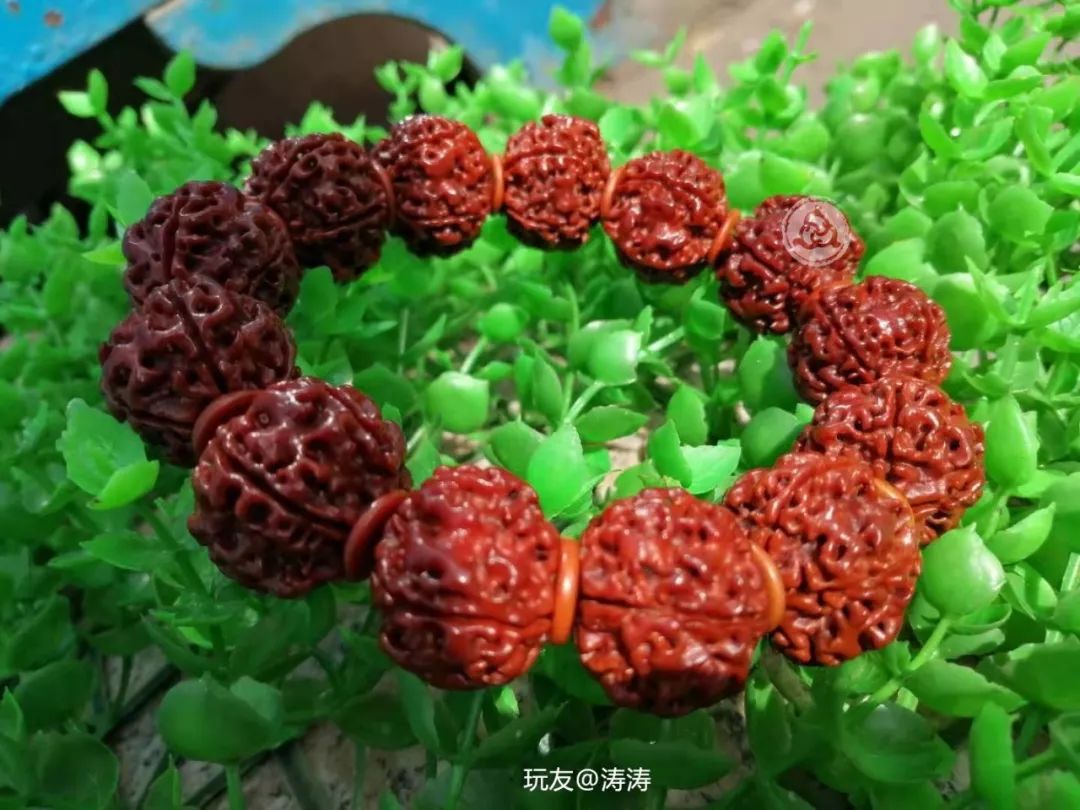 %title插图%num %title插图%num