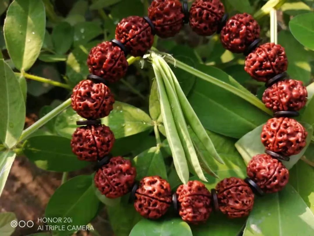 %title插图%num %title插图%num