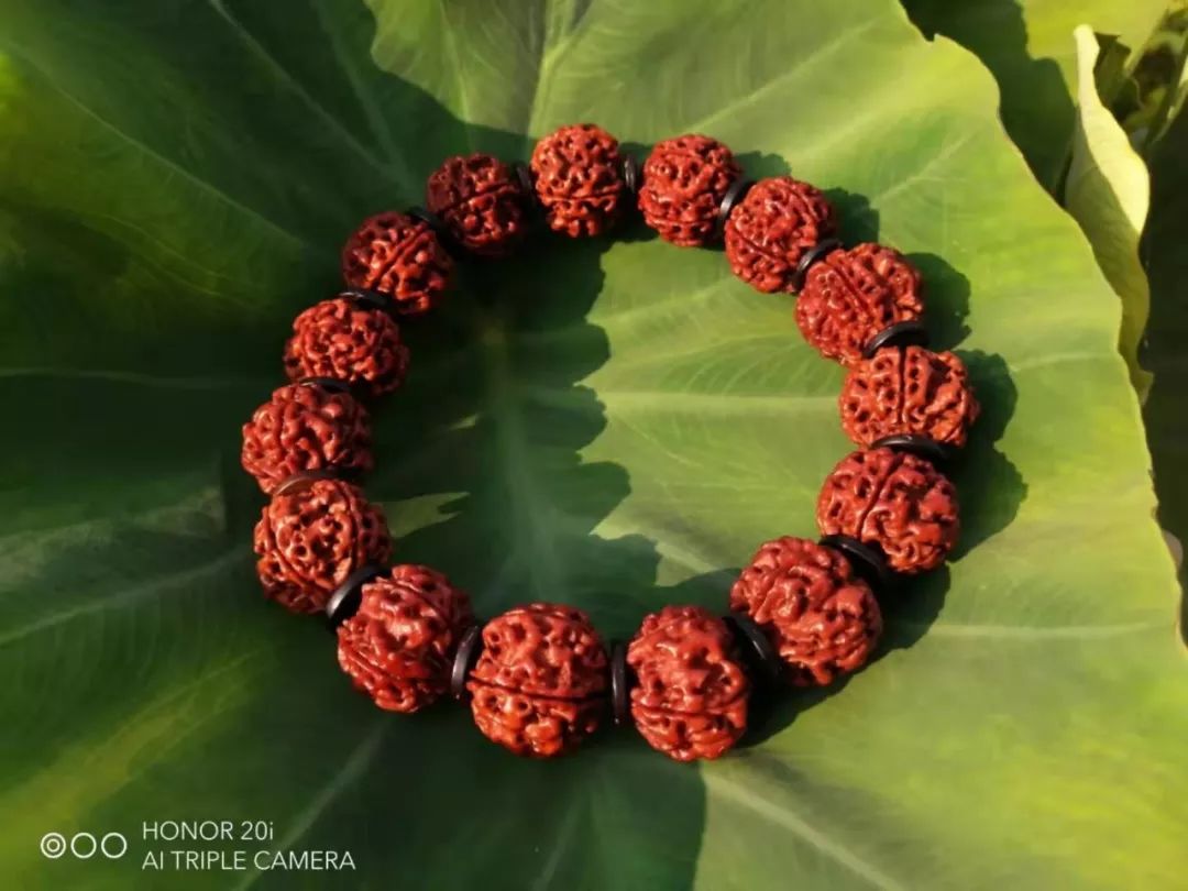 %title插图%num %title插图%num