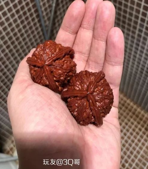 %title插图%num %title插图%num