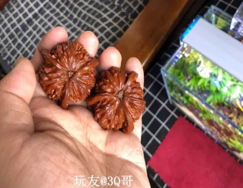 %title插图%num %title插图%num